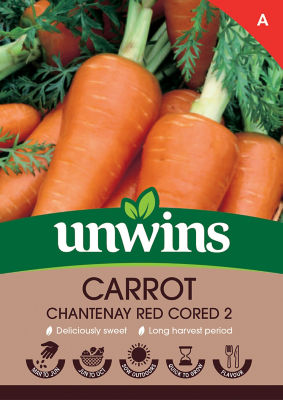 Carrot Chantenay Red Cored 2