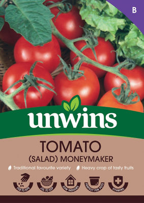 Tomato (Salad) Moneymaker thumbnail 2