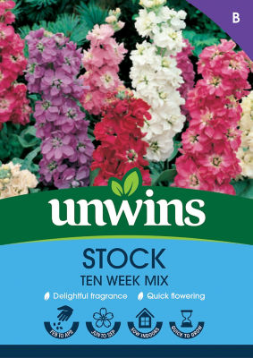 Stock Ten Week Mix thumbnail 2