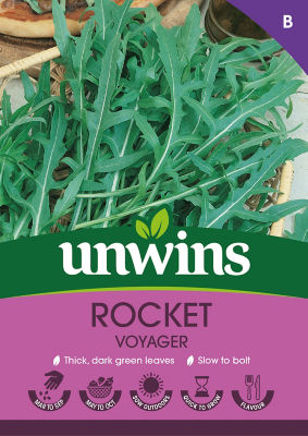 Rocket Voyager thumbnail 2