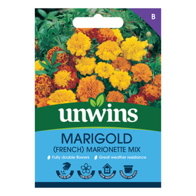Marigold (French) Marionette Mix thumbnail 2