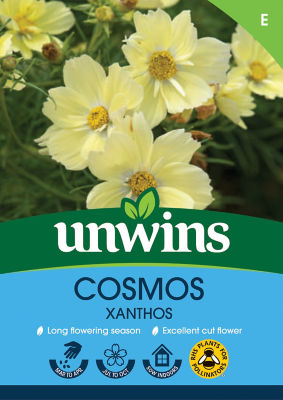 Cosmos Xanthos thumbnail 2