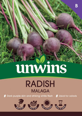 Radish Malaga