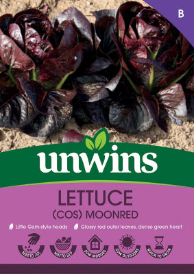 Lettuce (Cos) Moonred thumbnail 2
