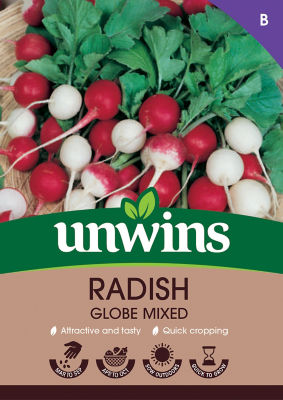 Radish Globe Mixed