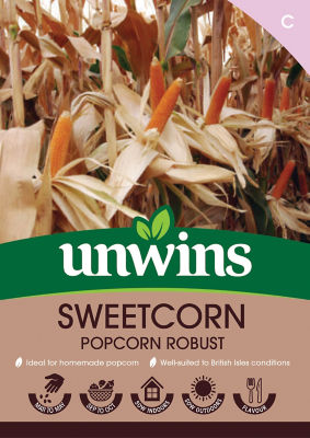 Sweetcorn Popcorn Robust