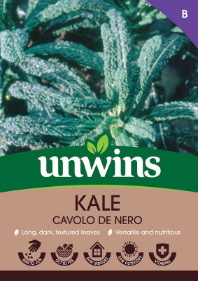 Kale Cavolo De Nero
