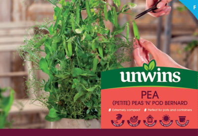 Peas ‘N’ Pod Bernard