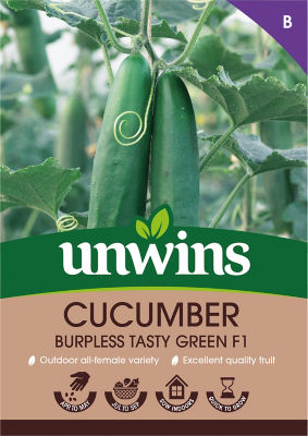 Cucumber Burpless F1 thumbnail 2