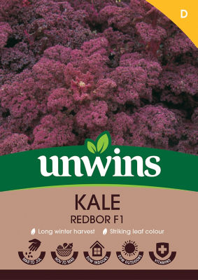 Kale Redbor F1 thumbnail 2
