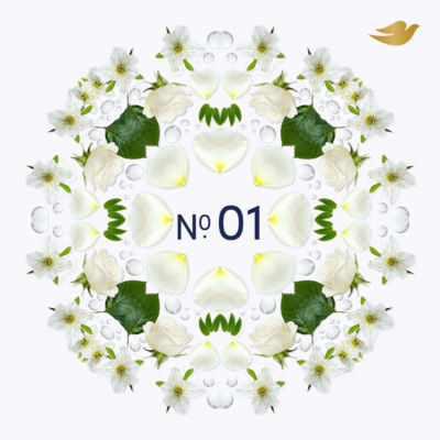 No. 1 Original Anti-Perspirant Refill 35 ml thumbnail 3