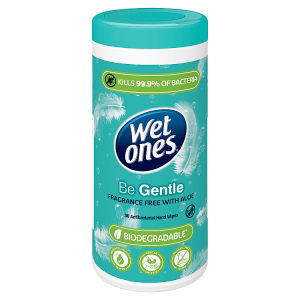 Be Gentle Canister Antibacterial Hand Wipes x 50