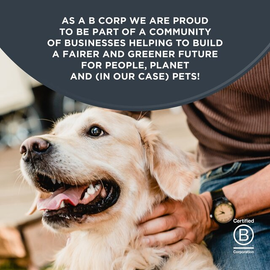 Encore Dog Tin with Chicken Fillet thumbnail 6