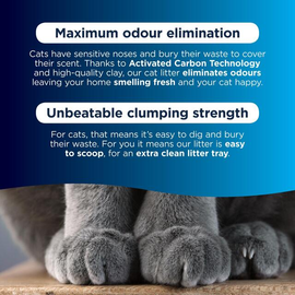 Ever Clean Senior Cat Clumping Cat Litter thumbnail 5