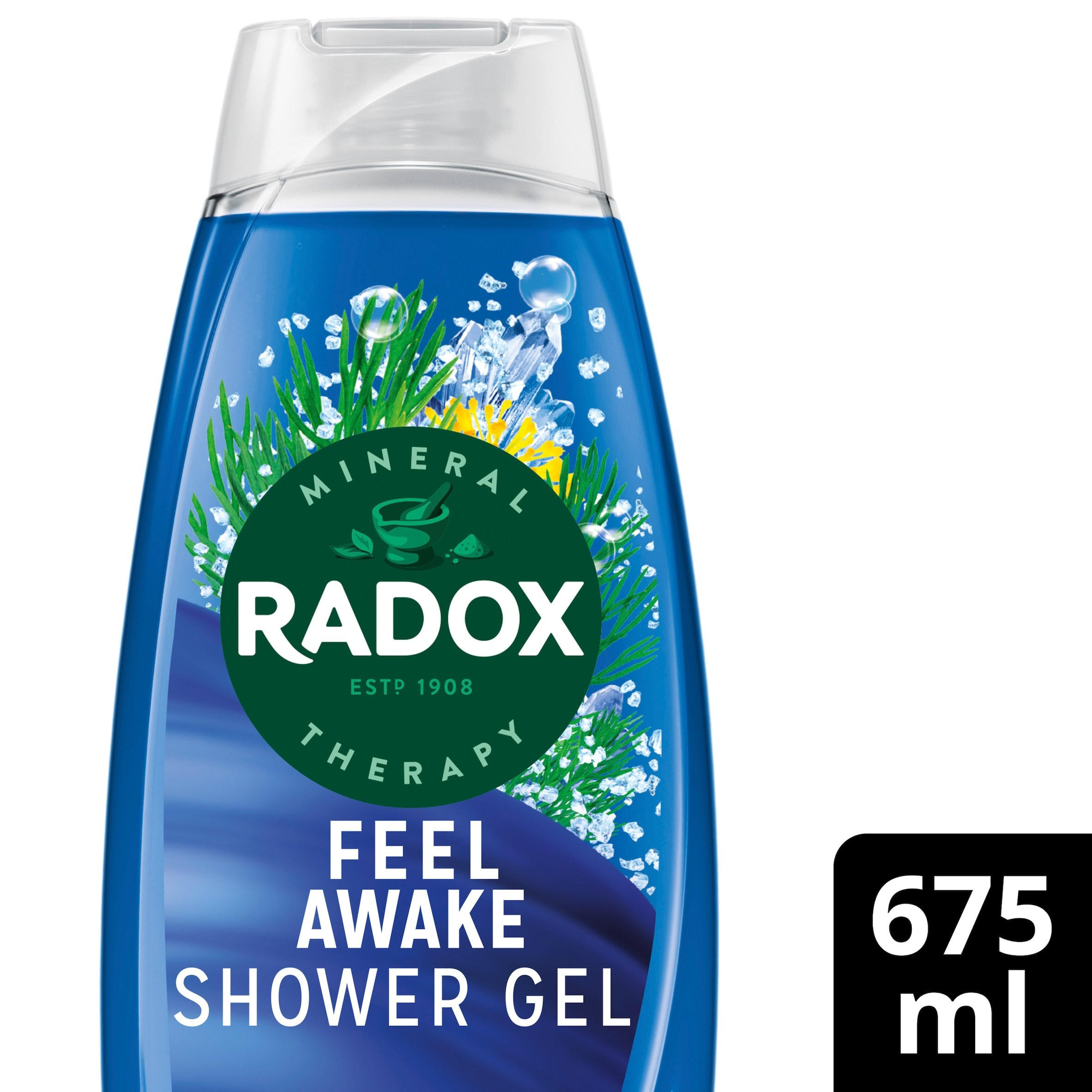 Radox Mineral Therapy 2-in-1 Shower Gel & Shampoo Feel Awake 675 ml