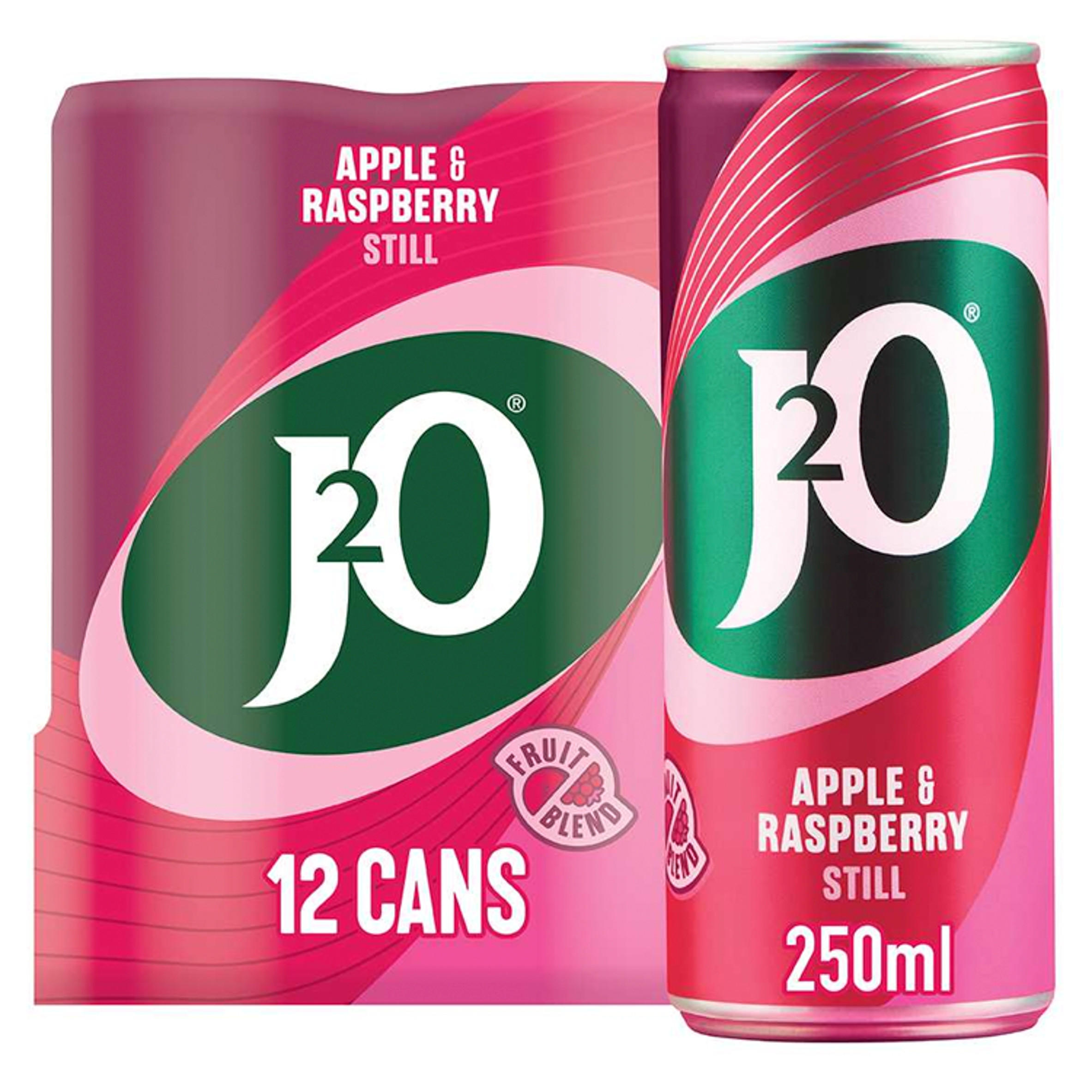 J2O Apple & Raspberry Still Cans 12 x 250ml