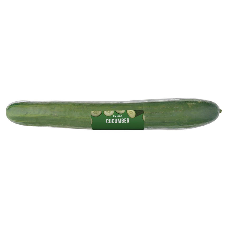 Iceland Cucumber