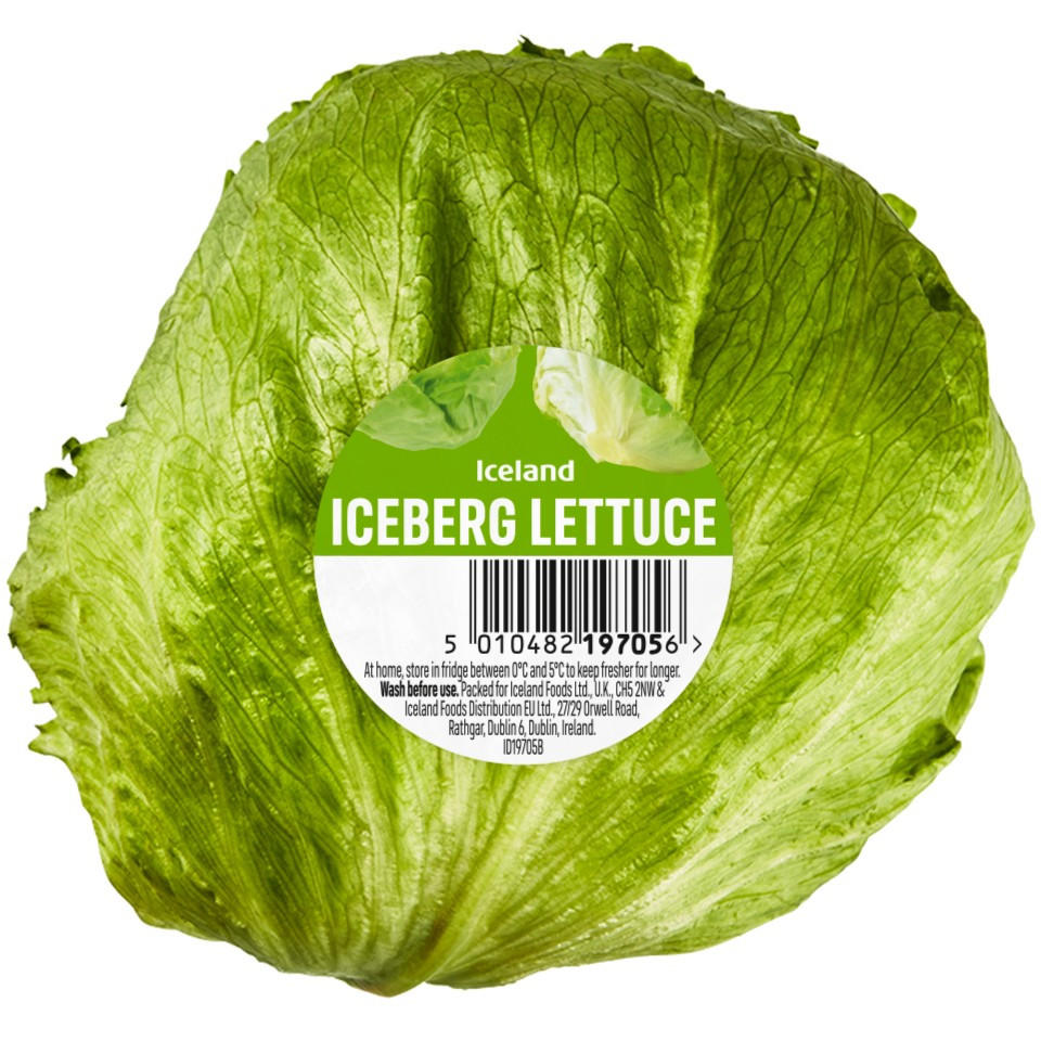 Iceland Iceberg Lettuce