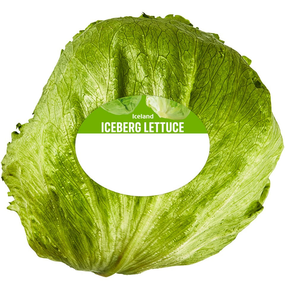 Iceland Iceberg Lettuce