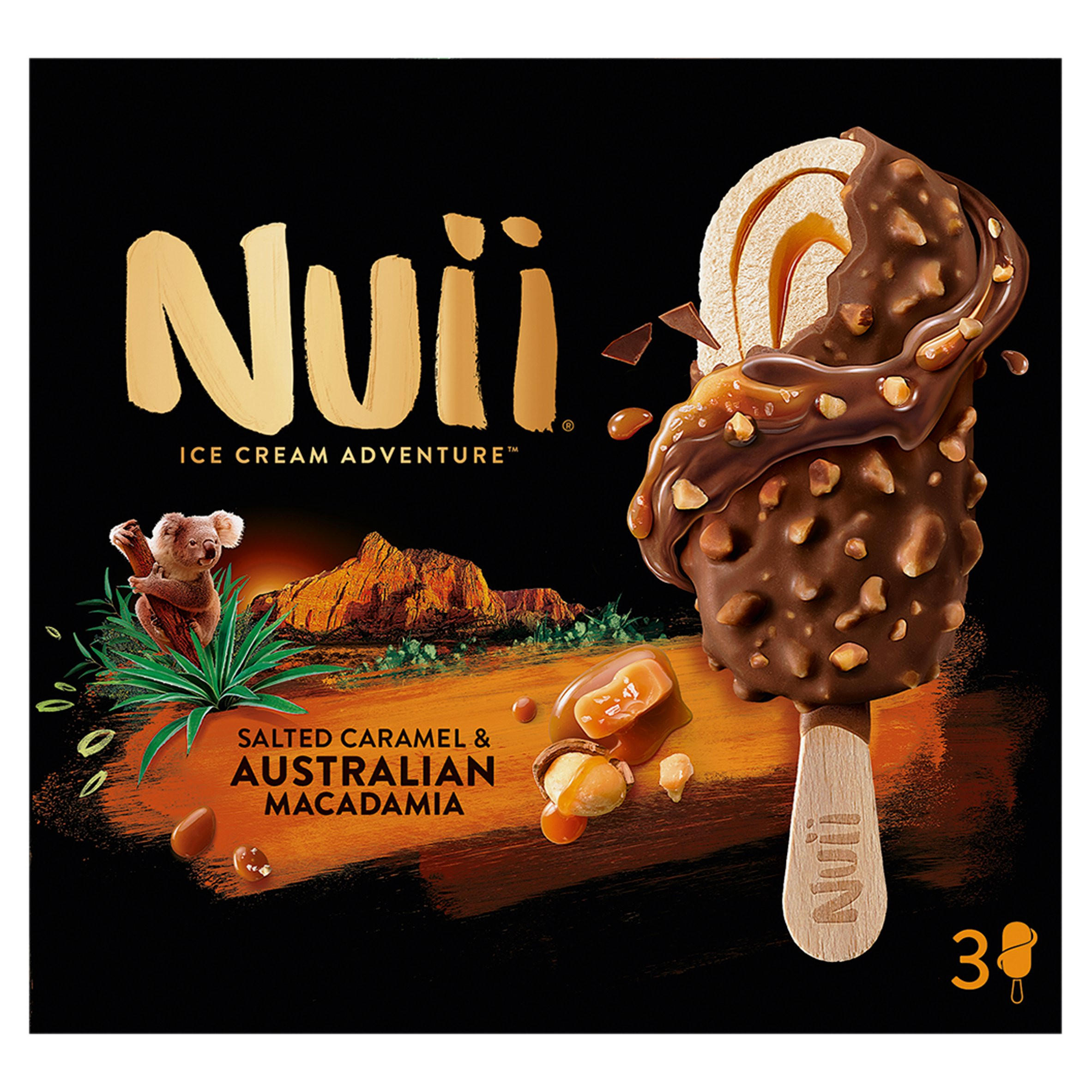 Nuii Ice Cream Adventure Salted Caramel & Australian Macadamia 270ml
