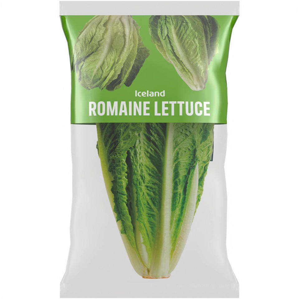 Iceland Romaine Lettuce