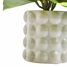 M&S Moss & Sweetpea Artificial Philodendron in Ceramic Pot Green thumbnail 2