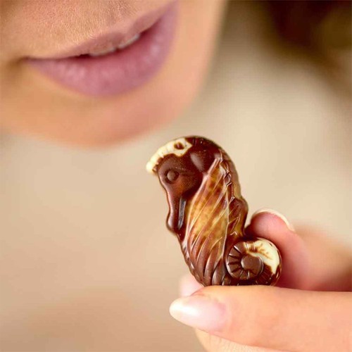 Guylian Artisanal Belgian Chocolate thumbnail 4