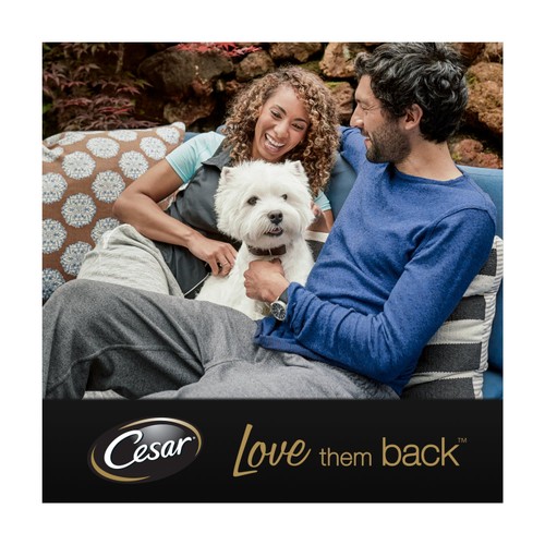 Cesar Classics Terrine Dog Food Tray Lamb & Chicken in Jelly thumbnail 4
