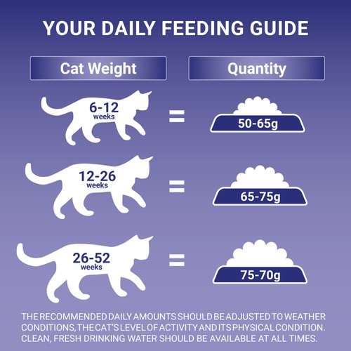 Purina ONE Dry Kitten Food Rich in Chicken 750g thumbnail 5