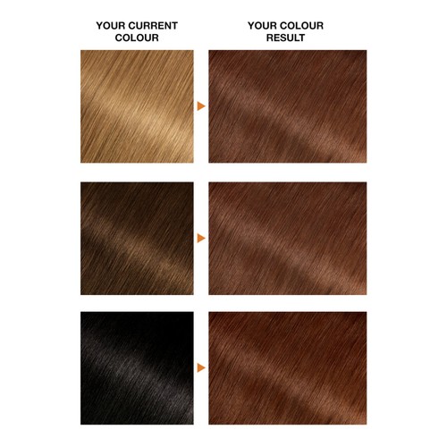 Garnier Belle Color Ease Gel Auburn 5.5 thumbnail 3