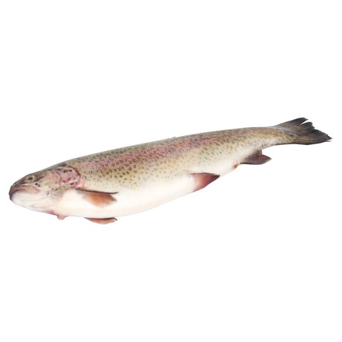 Morrisons British Whole Rainbow Trout 840g thumbnail 2