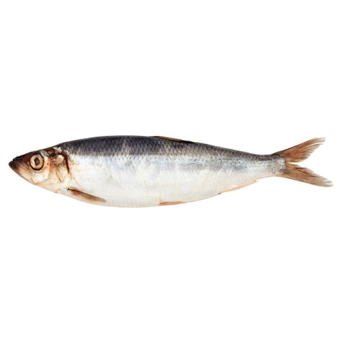 Market Street British Whole Herring 150g