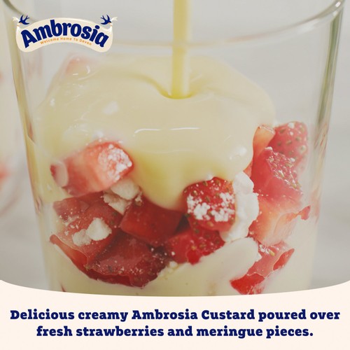 Ambrosia Devon Custard Can thumbnail 5