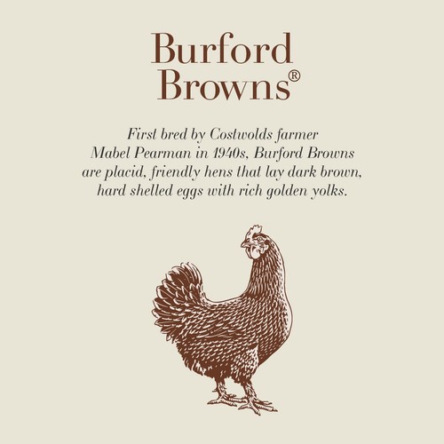 Clarence Court Burford Browns Free Range Eggs thumbnail 2