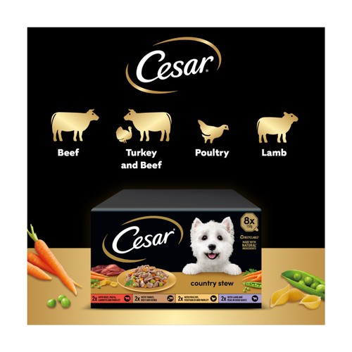 Cesar Country Stew Adult Wet Dog Food Trays Special Selection thumbnail 3