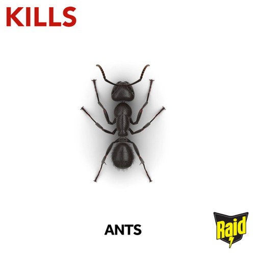 Raid Ant Bait Station thumbnail 5