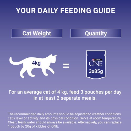 Purina One Senior 7+ Mini Fillets Chicken And Beef Wet Cat Food  thumbnail 2