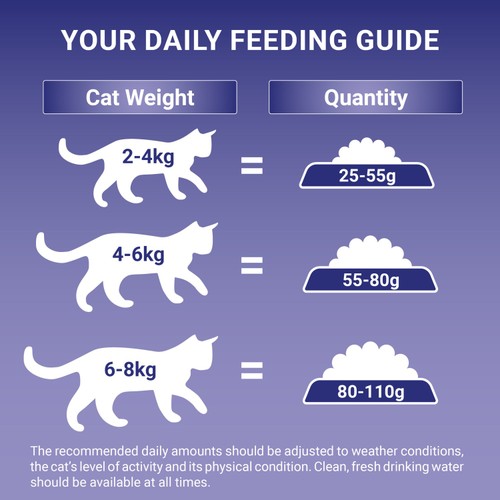 Purina ONE Indoor Cat Adult Dry Cat Food Rich In Turkey 750g thumbnail 2