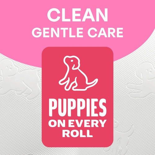 Andrex Family Soft Toilet Tissue 9 Pack thumbnail 3