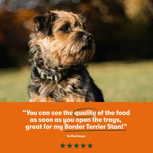 Harringtons Chicken with Potato & Vegetables Wet Dog Food Tray thumbnail 4