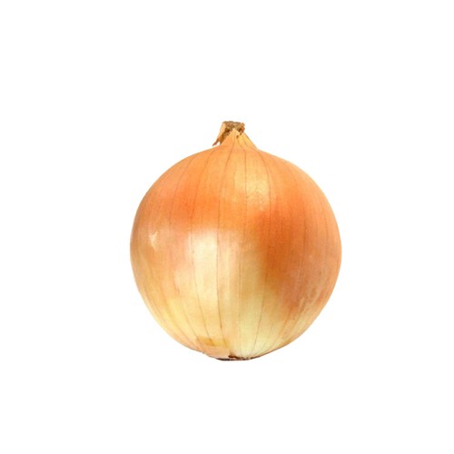 Morrisons British Loose Onion