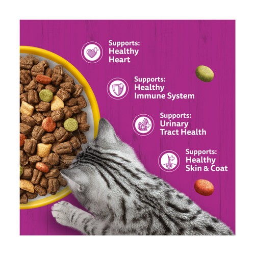 Whiskas Senior 7+ Dry Cat Food In Chicken thumbnail 5