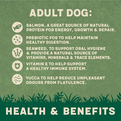 Harringtons Dry Adult Dog Food Rich in Salmon & Potato  thumbnail 2