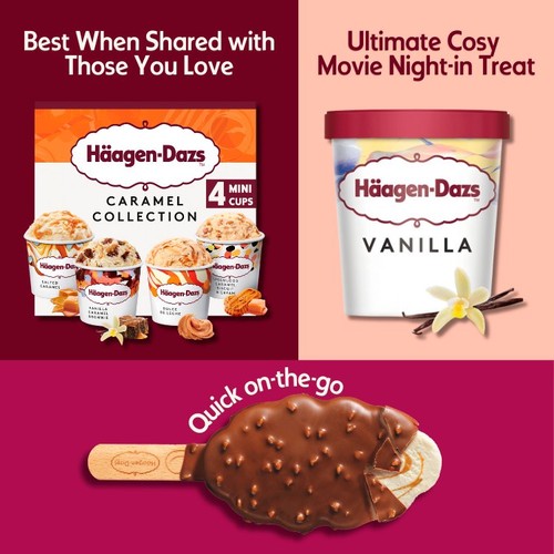 Haagen-Dazs Vanilla Ice Cream thumbnail 6