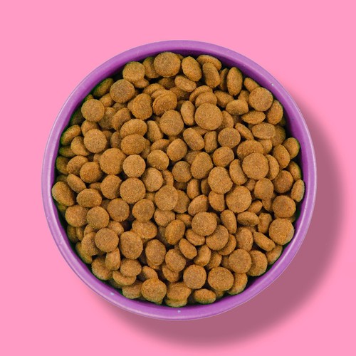 Wagg Wheat Free Dry Adult Dog Food In Chicken & Rice thumbnail 4