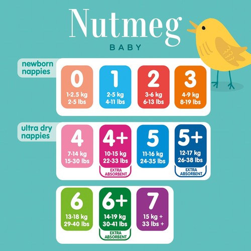 Nutmeg Ultra Dry Nappies Size 4+ x 44 Pack thumbnail 5
