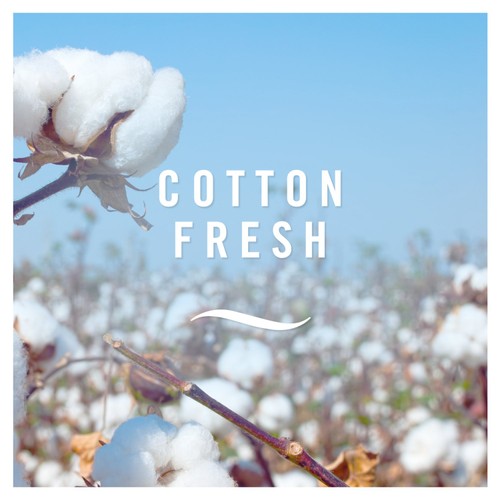 Febreze Twin Car Clip Cotton Fresh Air Freshener  thumbnail 2