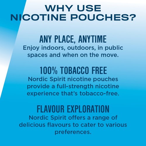 Nordic Spirit Mint Regular Nicotine Pouches thumbnail 4