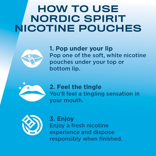 Nordic Spirit Mint Regular Nicotine Pouches thumbnail 5