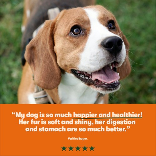 Harringtons Grain Free Mixed Dog Food Trays Multi Pack thumbnail 4